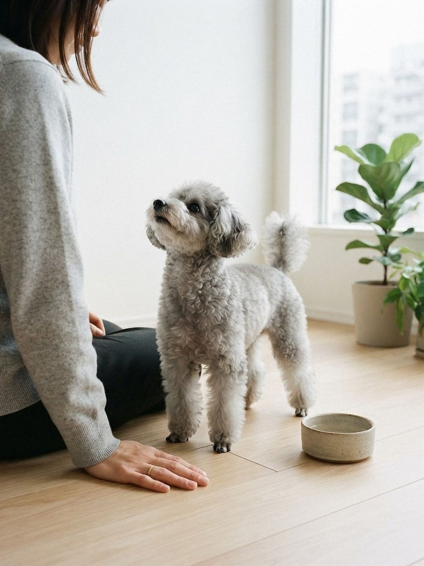 小型犬と暮らす飼い主